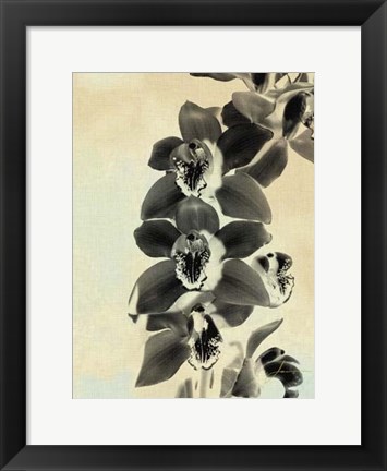 Framed Orchid Blush Panels IV Print