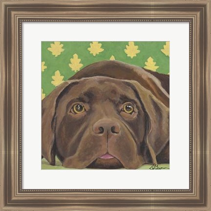 Framed Dlynn&#39;s Dogs - Casey Print