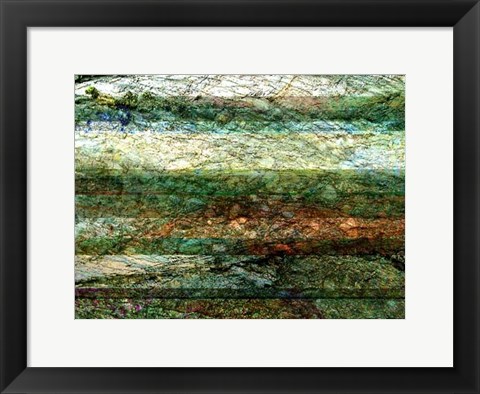 Framed Lines of Nature I Print