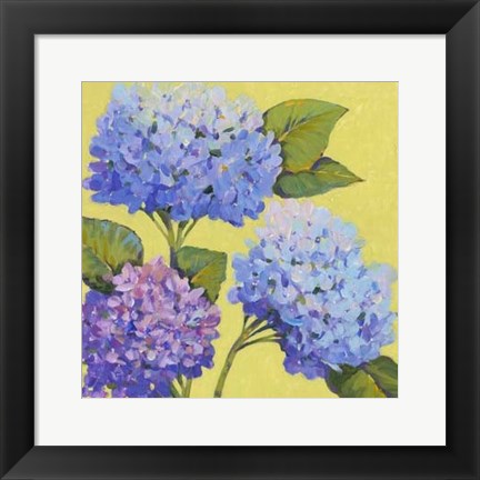 Framed Spring Hydrangeas II Print