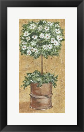 Framed Weathered Topiaries II Print