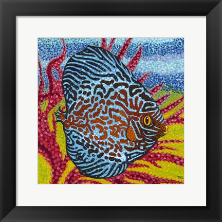 Framed Brilliant Tropical Fish II Print