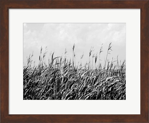 Framed Dune Triptych III Print