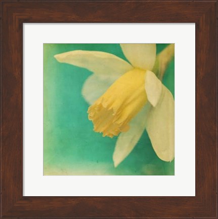 Framed White Flowers V Print