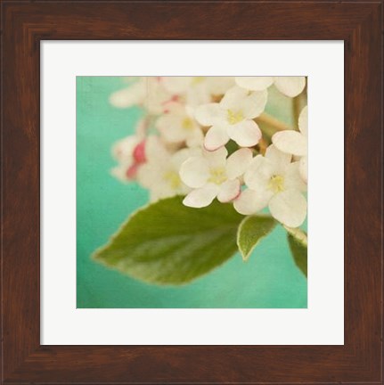 Framed White Flowers IX Print