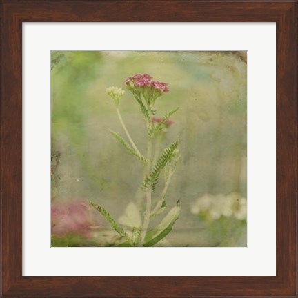 Framed Filtered Dreams VI Print