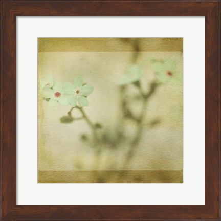 Framed Pastel Paths XI Print