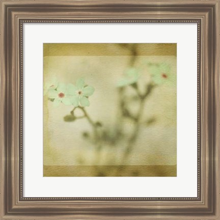 Framed Pastel Paths XI Print