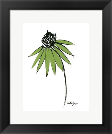 Framed Graphic Cone Flower I Print