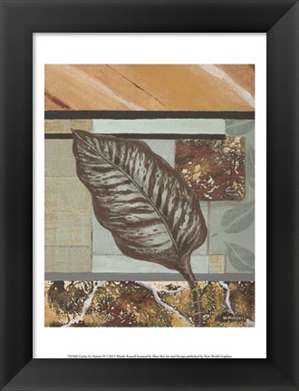 Framed Exotic by Nature IV Print