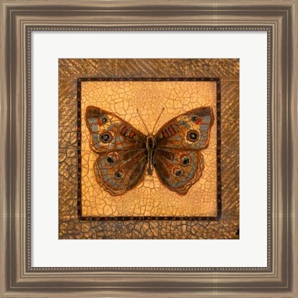 Framed Crackled Butterfly - Buckeye Print