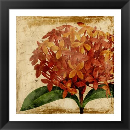 Framed Vibrant Floral III Print