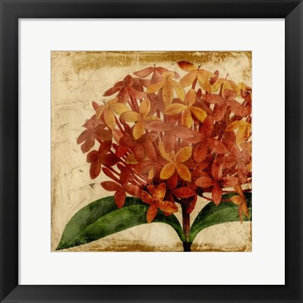 Framed Vibrant Floral III Print