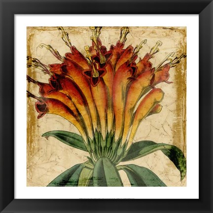 Framed Vibrant Floral IV Print