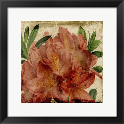 Framed Vibrant Floral VII Print