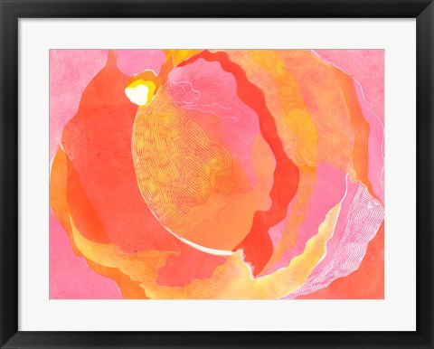 Framed Cabbage Rose I Print