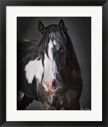 Framed Horse Portrait II Print