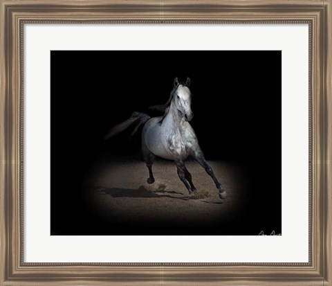 Framed Horse Portrait IX Print