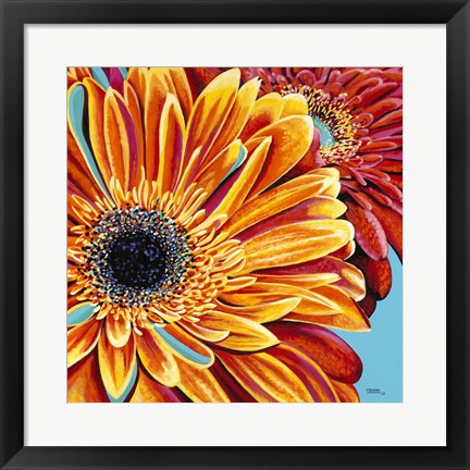 Framed Color Bursts II Print