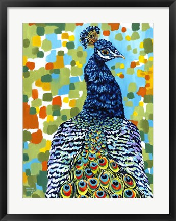 Framed Plumed Peacock II Print