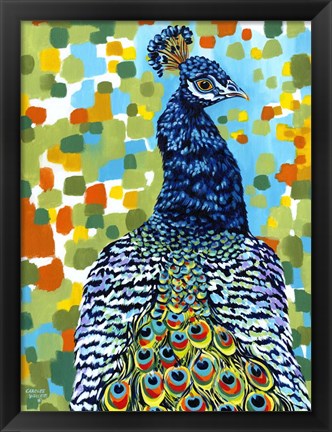 Framed Plumed Peacock II Print