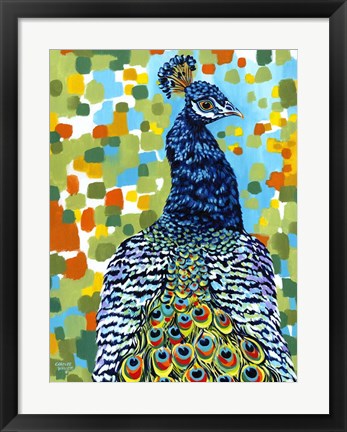 Framed Plumed Peacock II Print