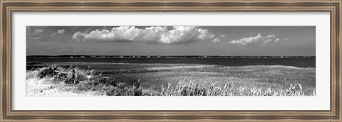 Framed Shore Panorama VII Print