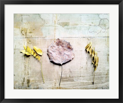 Framed Herbarium III Print