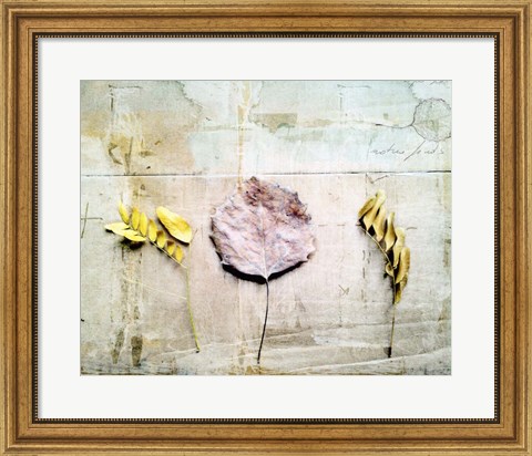 Framed Herbarium III Print