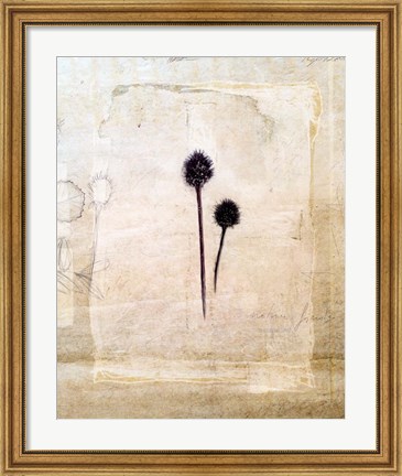 Framed Herbarium IV Print