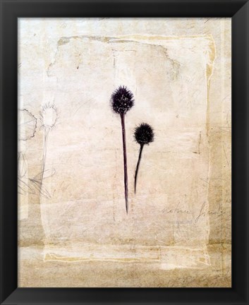 Framed Herbarium IV Print