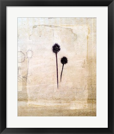 Framed Herbarium IV Print