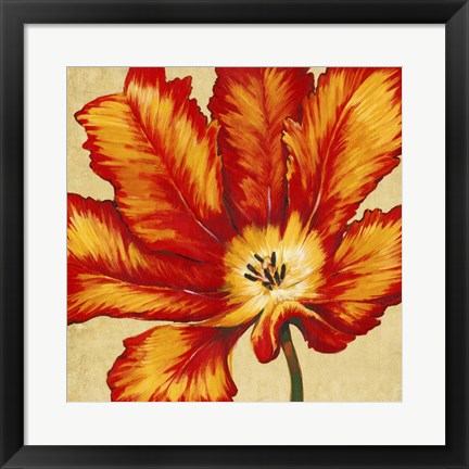 Framed Parrot Tulip II Print