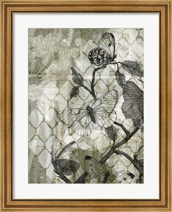 Framed Arabesque Butterflies II Print