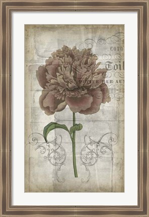 Framed French Floral IV Print