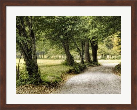 Framed Path in the Country Print