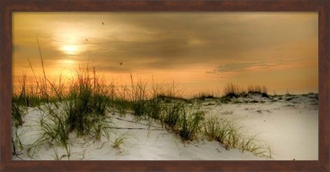 Framed Seagulls at Sunrise Print