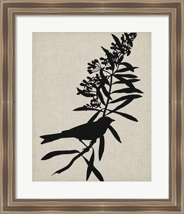 Framed Audubon Silhouette I Print