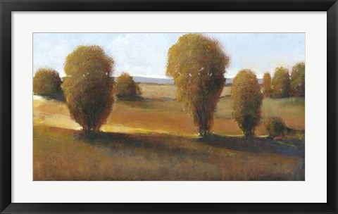 Framed Afternoon Light II Print