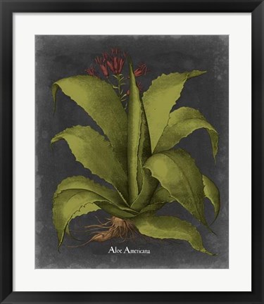 Framed Besler Dramatique III Print