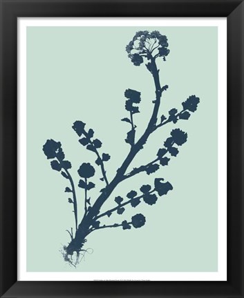 Framed Indigo &amp; Mint Botanical Study II Print