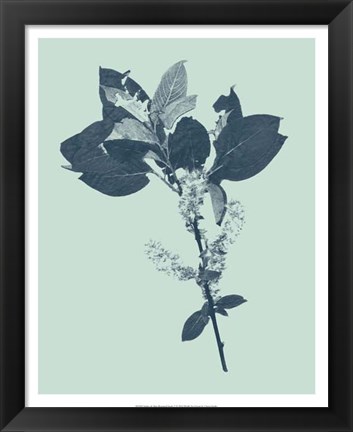 Framed Indigo &amp; Mint Botanical Study V Print