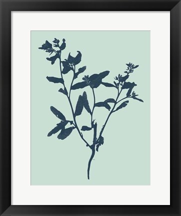 Framed Indigo &amp; Mint Botanical Study VII Print