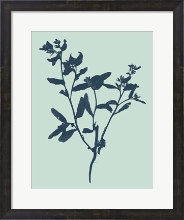 Framed Indigo &amp; Mint Botanical Study VII Print