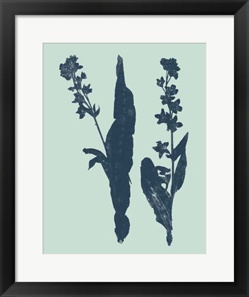 Framed Indigo &amp; Mint Botanical Study VIII Print