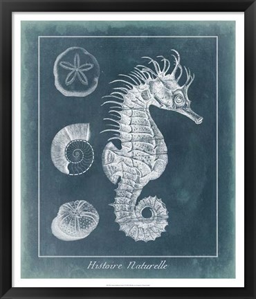 Framed Azure Seahorse Study I Print