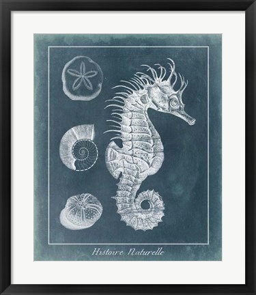 Framed Azure Seahorse Study I Print