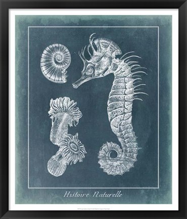 Framed Azure Seahorse Study II Print