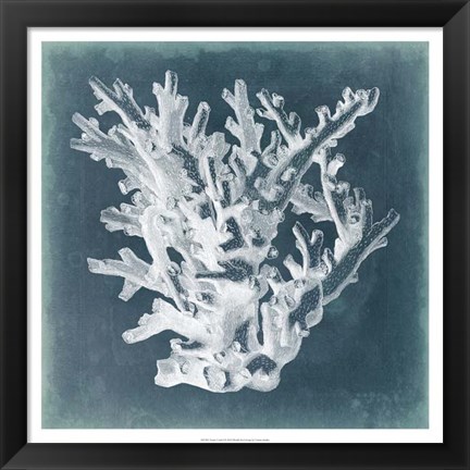 Framed Azure Coral I Print