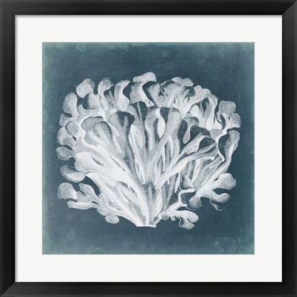 Framed Azure Coral III Print